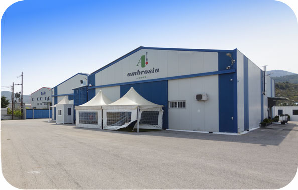 ACTION 360 GUARD Pelatologio 07