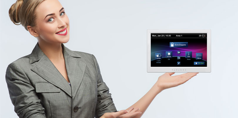 Products Security Systems 03