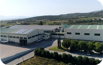 ACTION 360 GUARD Pelatologio Palirroia